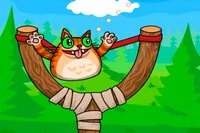 Send katten gjennom ringene og samle stjerner