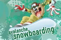 Snøskred!
