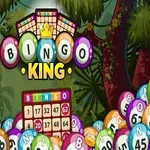 Bingo-kuler og et bingo-kort med teksten Bingo King i en fargerik jungelbakgrunn