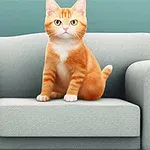 En oransje katt sitter på en lys grå sofa foran en turkis vegg