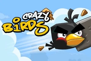 Tegneserieaktig svart fugl med sinte øyne flyr gjennom luften, omgitt av spredte trefliser, med teksten Crazy Birds i bakgrunnen