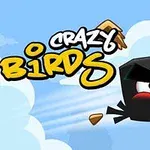 Tegneserieaktig svart fugl med sinte øyne flyr gjennom luften, omgitt av spredte trefliser, med teksten Crazy Birds i bakgrunnen