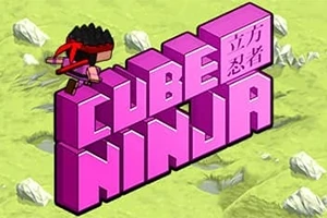 Tredimensjonal rosa tekst med ordene CUBE NINJA på en grønn bakgrunn, med en liten figur øverst til venstre