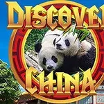 To pandaer ligger sammen omgitt av grønne blader, med teksten Discover China skrevet i gullbokstaver over dem