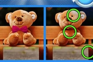 To teddybjørner sitter på en benk, hvor forskjellene mellom dem er markert med grønne sirkler