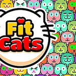 Fargerikt mønster av tegneseriekatteansikter med teksten Fit Cats i midten
