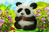 Ta vare på en supersøt panda i dette herlige dyrestell-spillet!