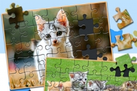 Jigsaw Puzzle: Katter & Kattunger er et interessant puslespill.