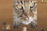 Nyt den ultimate pusleopplevelsen