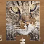 Et puslespill under konstruksjon viser et bilde av et katt med delene delvis satt sammen på en trebakgrunn