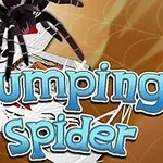 En stor edderkopp over tekst med ordene Jumping Spider på en bakgrunn av spillkort og edderkoppspinn