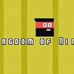 En enkel illustrasjon av et ansikt med rød maske mot en gul bakgrunn, med teksten Kingdom of Ninja 2