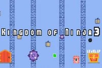 Hei fra Kingdom of Ninja 3-serien