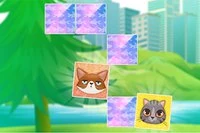 Hvor mange like kattunger kan du finne?