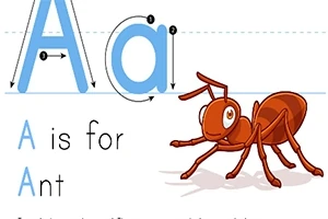 Store og små bokstaver A med instruksjoner for skriving, en tegnet maur og teksten A is for Ant