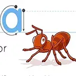 Store og små bokstaver A med instruksjoner for skriving, en tegnet maur og teksten A is for Ant
