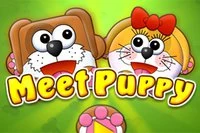 I Meet Puppy har et hundepar blitt skilt, og de vet ikke hva de skal gjøre!