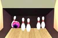 Plasser bowlingkulen