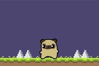 Pug Love-eventyret starter i dag