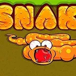En oransje tegneserieorm med store, hvite øyne og åpen munn ligger under stor tekst som sier SNAKE på en grønn bakgrunn