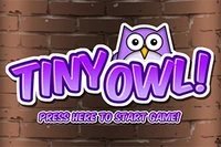 Røm! Unngå flaggermus og miner i Tiny Owl!