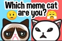 Finn din meme-katt: Emoji-quiz