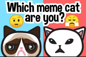 To tegneseriekatter med ulike ansiktsuttrykk mot en delt blå og rød bakgrunn med teksten Which meme cat are you?