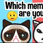 To tegneseriekatter med ulike ansiktsuttrykk mot en delt blå og rød bakgrunn med teksten Which meme cat are you?