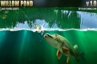 Willow Pond, et fargerikt fiskesimulatorspill