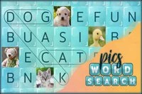 Word Search Pictures, puslespillet for ordmestere!