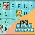Kryssordspill med bilder av dyr inkludert en hund, kattunge, and og bamse